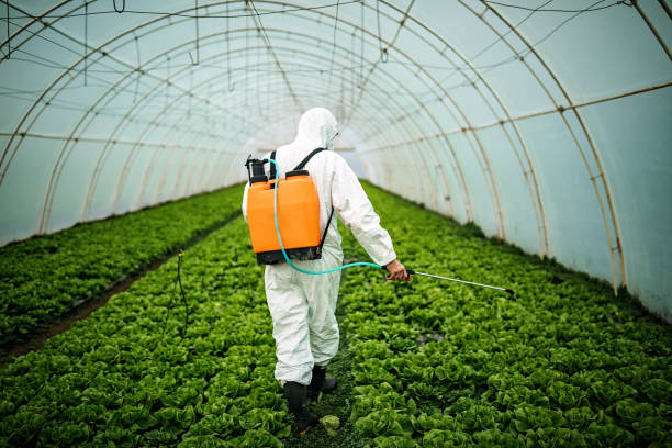 Best Emergency Pest Control  in East Farmingdale, NY