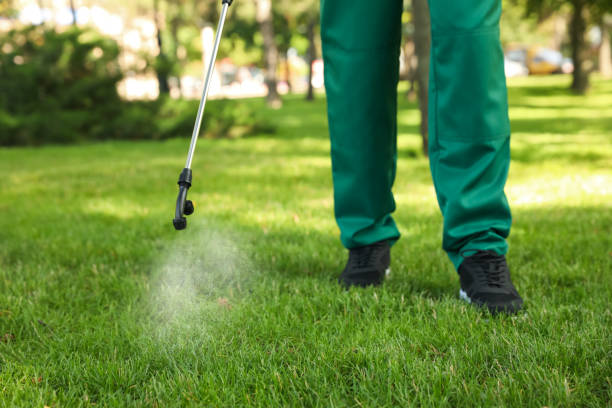 Wasp Removal Services in East Farmingdale, NY