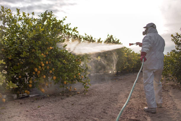 Best Wildlife Control Services  in East Farmingdale, NY