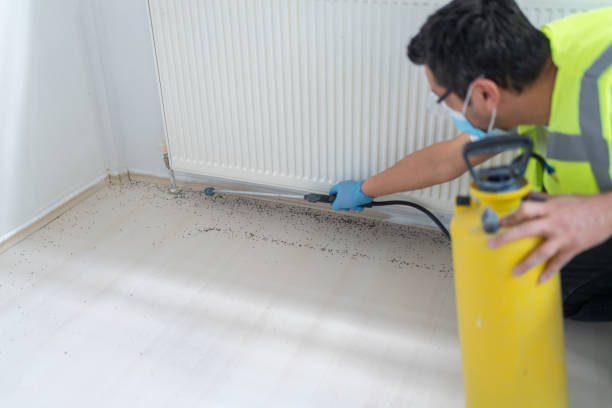 Best Pest Prevention Services  in East Farmingdale, NY